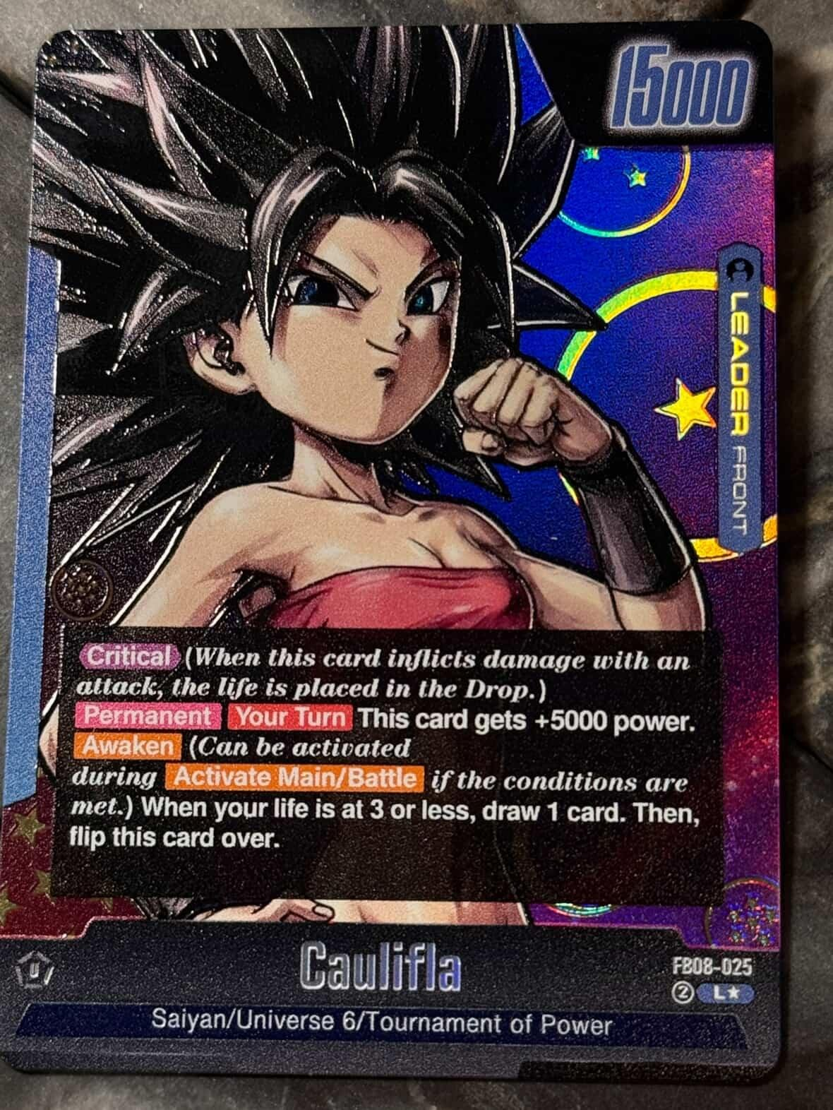 FB08-025 Custom Art Leader - Caulifla