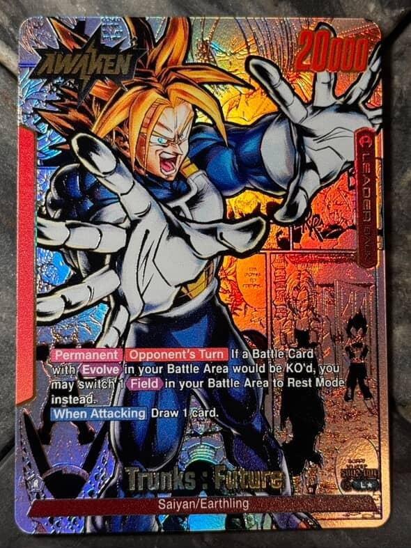 SB02-001 Custom Art Leader - Trunks : Future